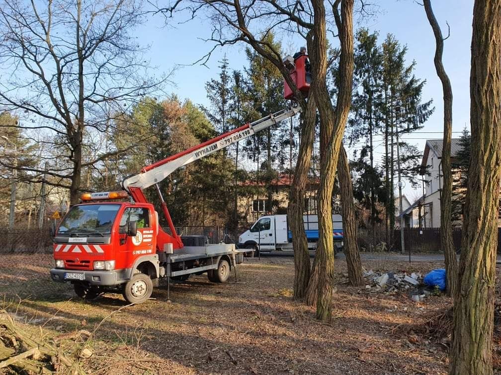 Podnośnik wycinka i pielęgnacja drzew czyszczenie działek rębak