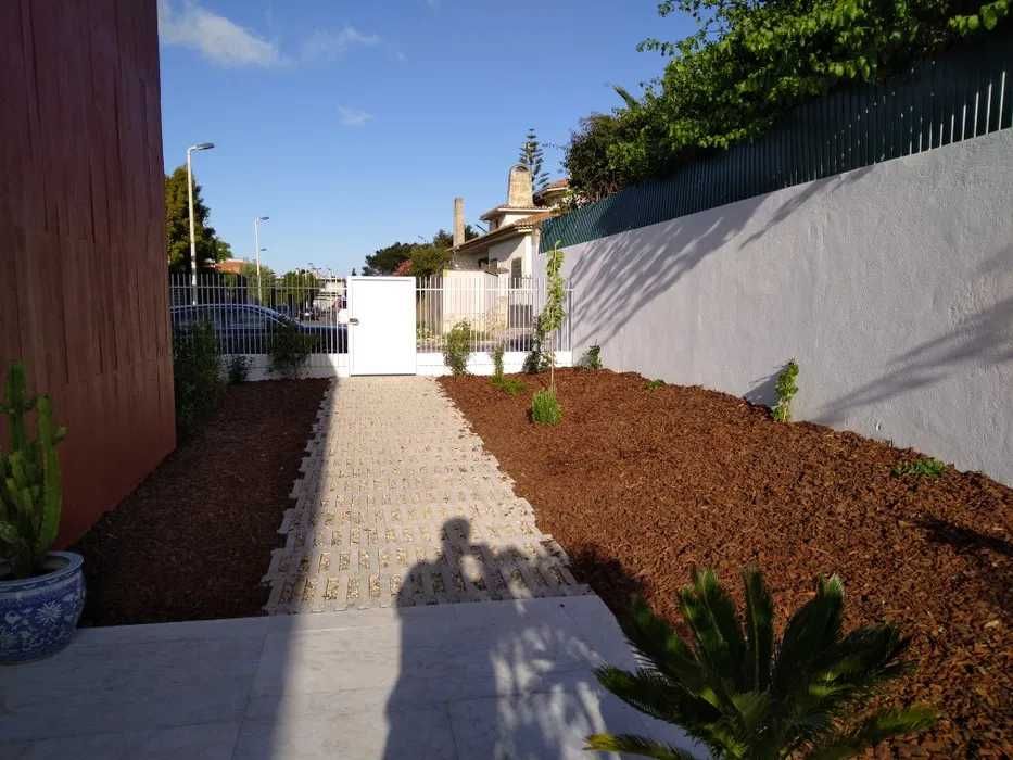 Casca de Pinheiro 75€