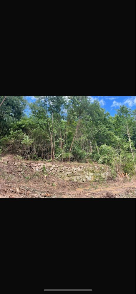 Terreno barragem da aguieira