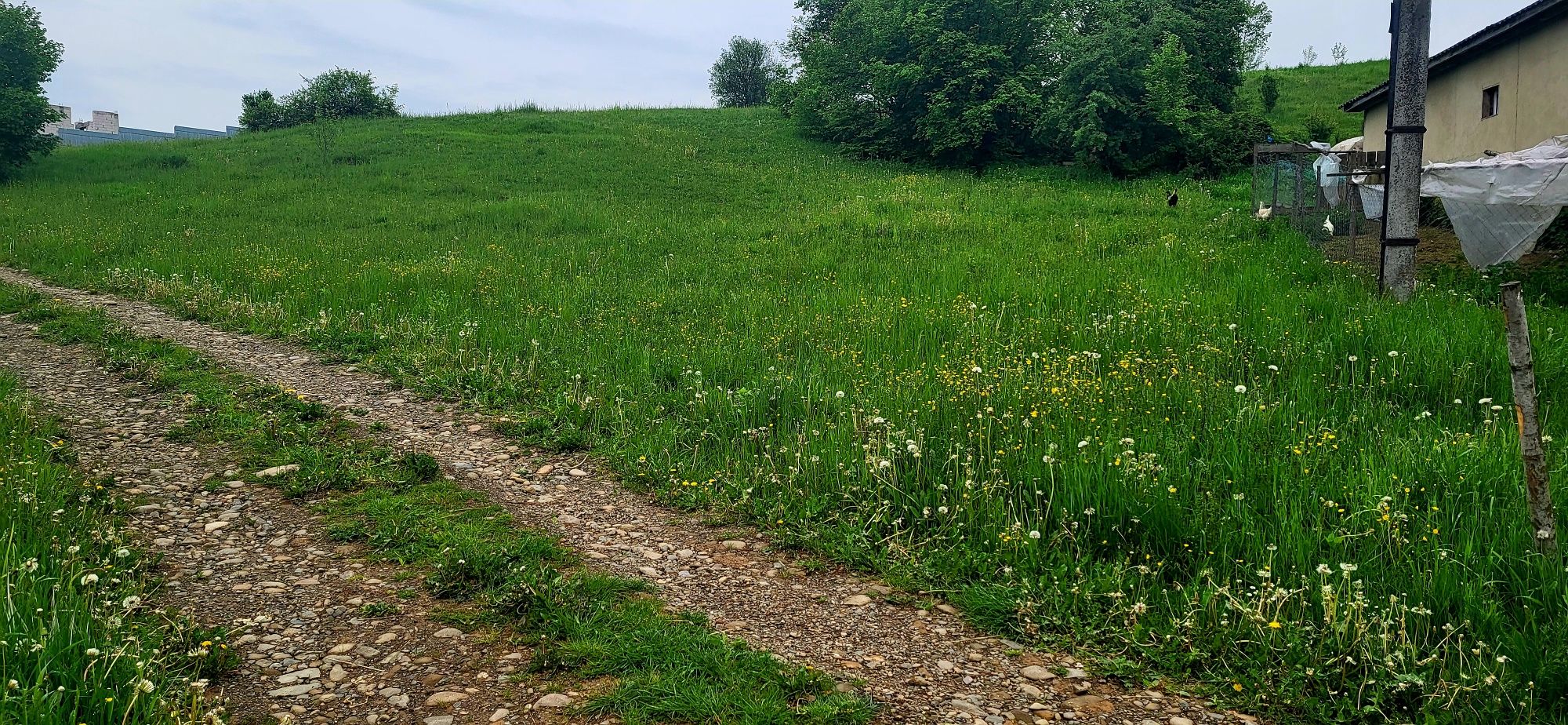 Земля під будівництво