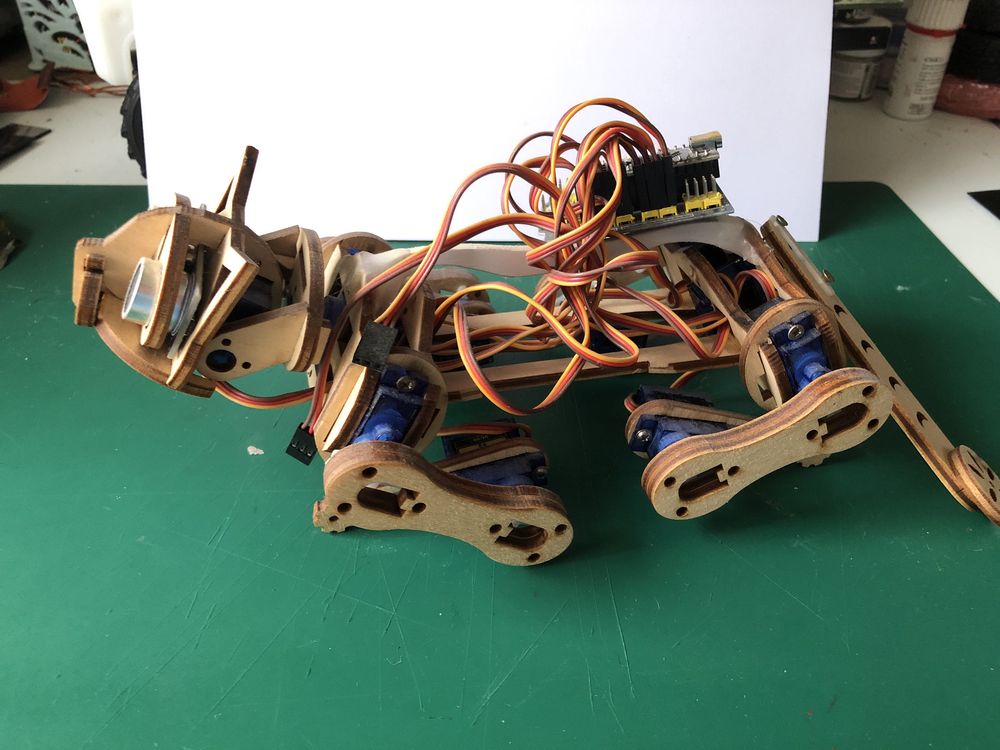 Robot Arduino Cat