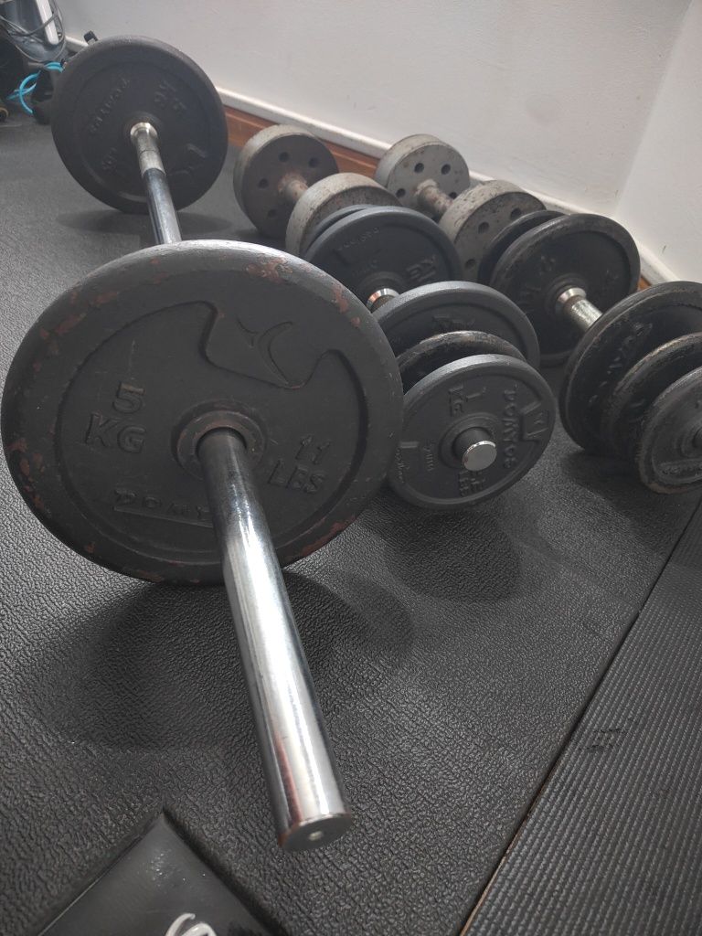 Pesos e barras de musculação