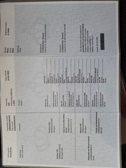 Fryz klacz Księga Główna