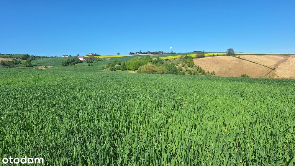 Działka budowlano rolna ok. 3 ha