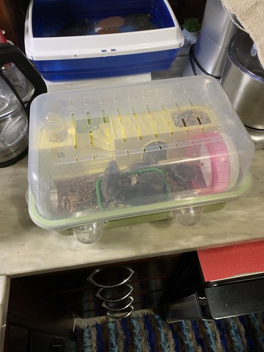 Gaiola para hamster/ hamster