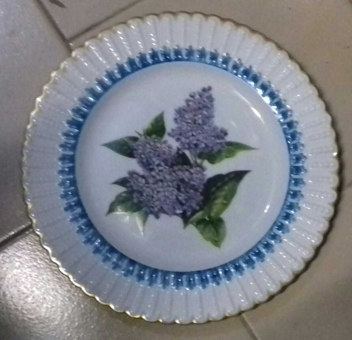 Pratos Porcelana Flora Lusitânia