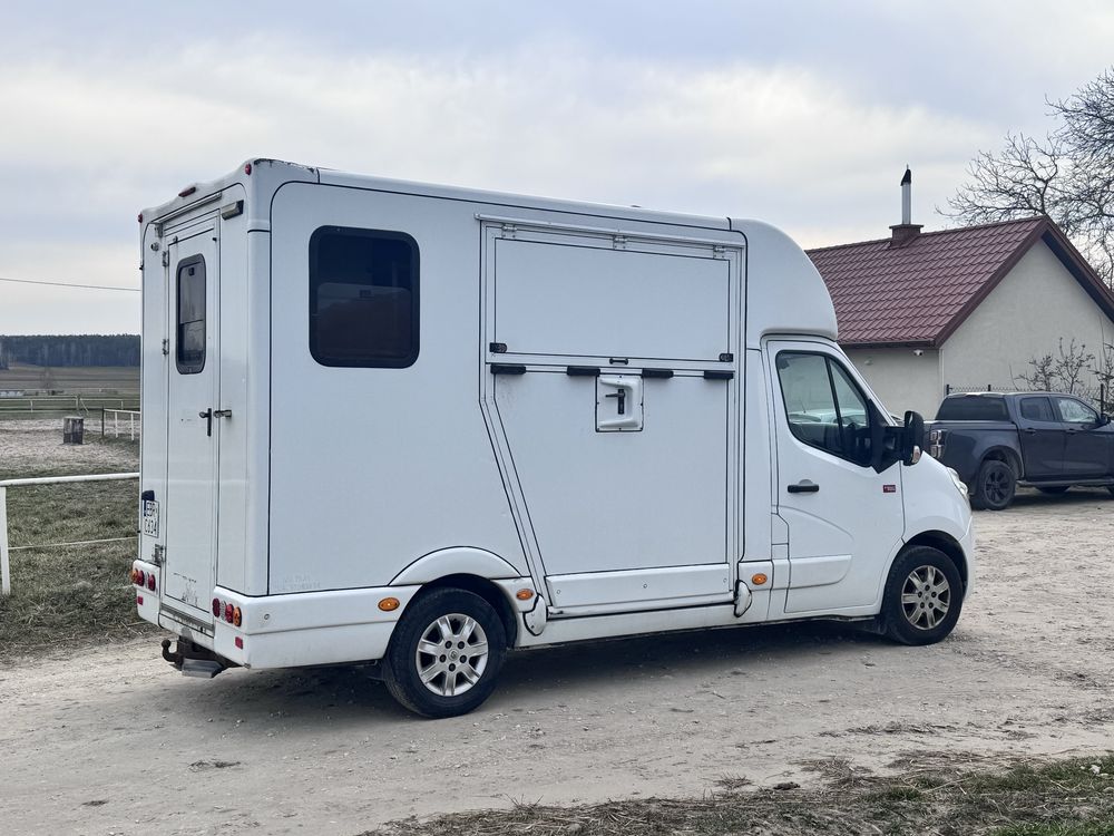 Renault Master koniowóz 2.3 diesel 165 KM do przewozu koni zwierzat FV