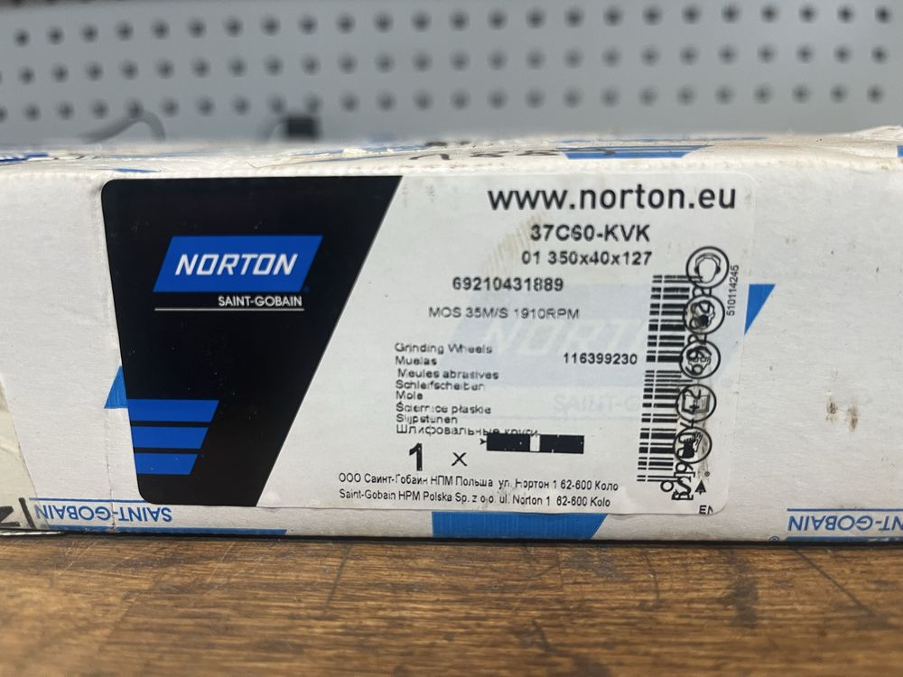 Ściernica Norton