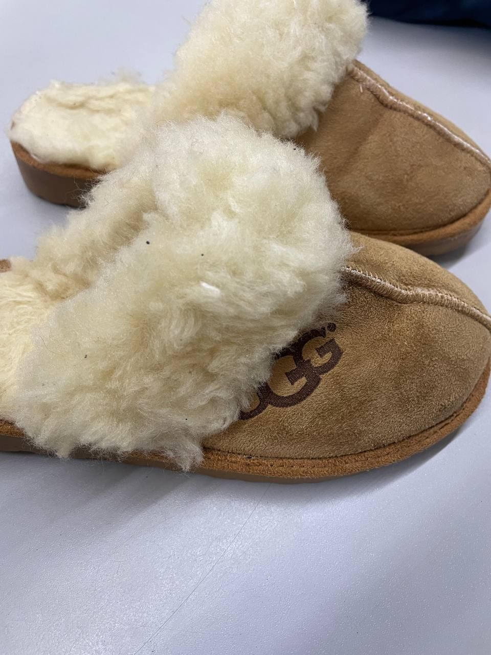 тапки из коллекции UGG