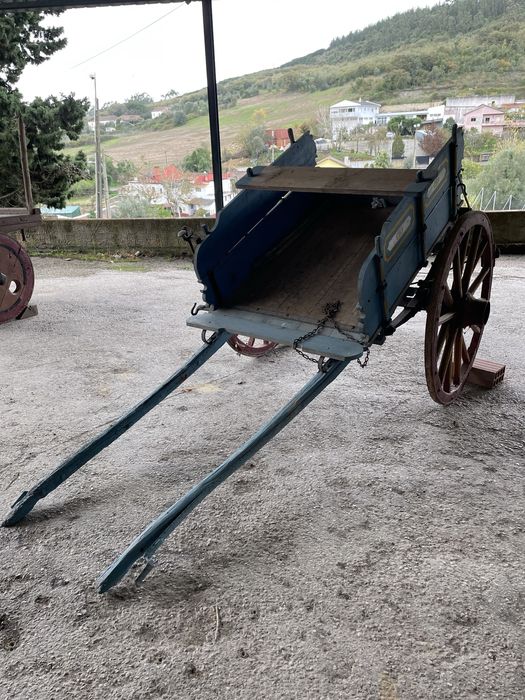 Carroça transportadora