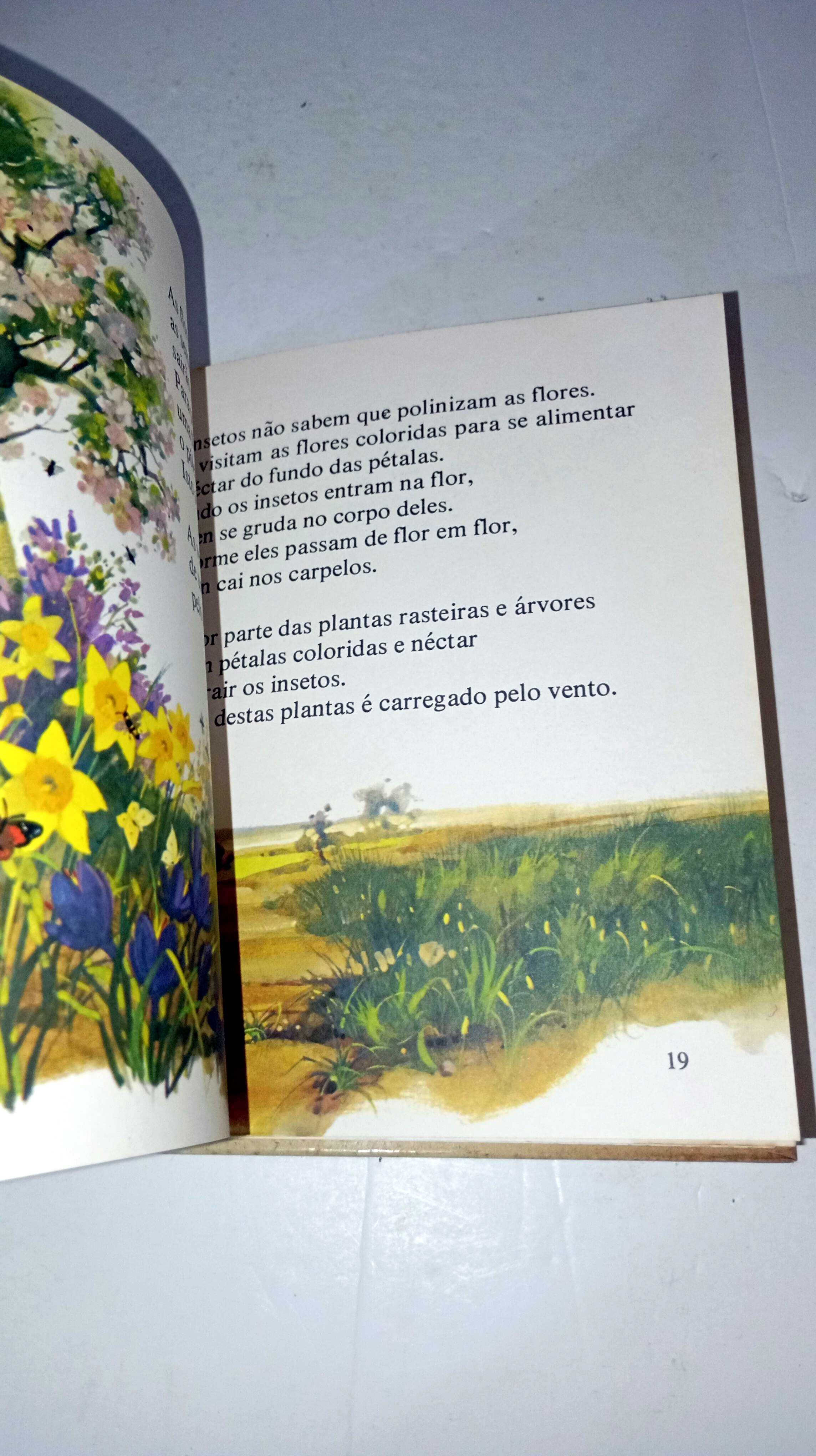 Como Vivem as Flores - Biblioteca das Crianças