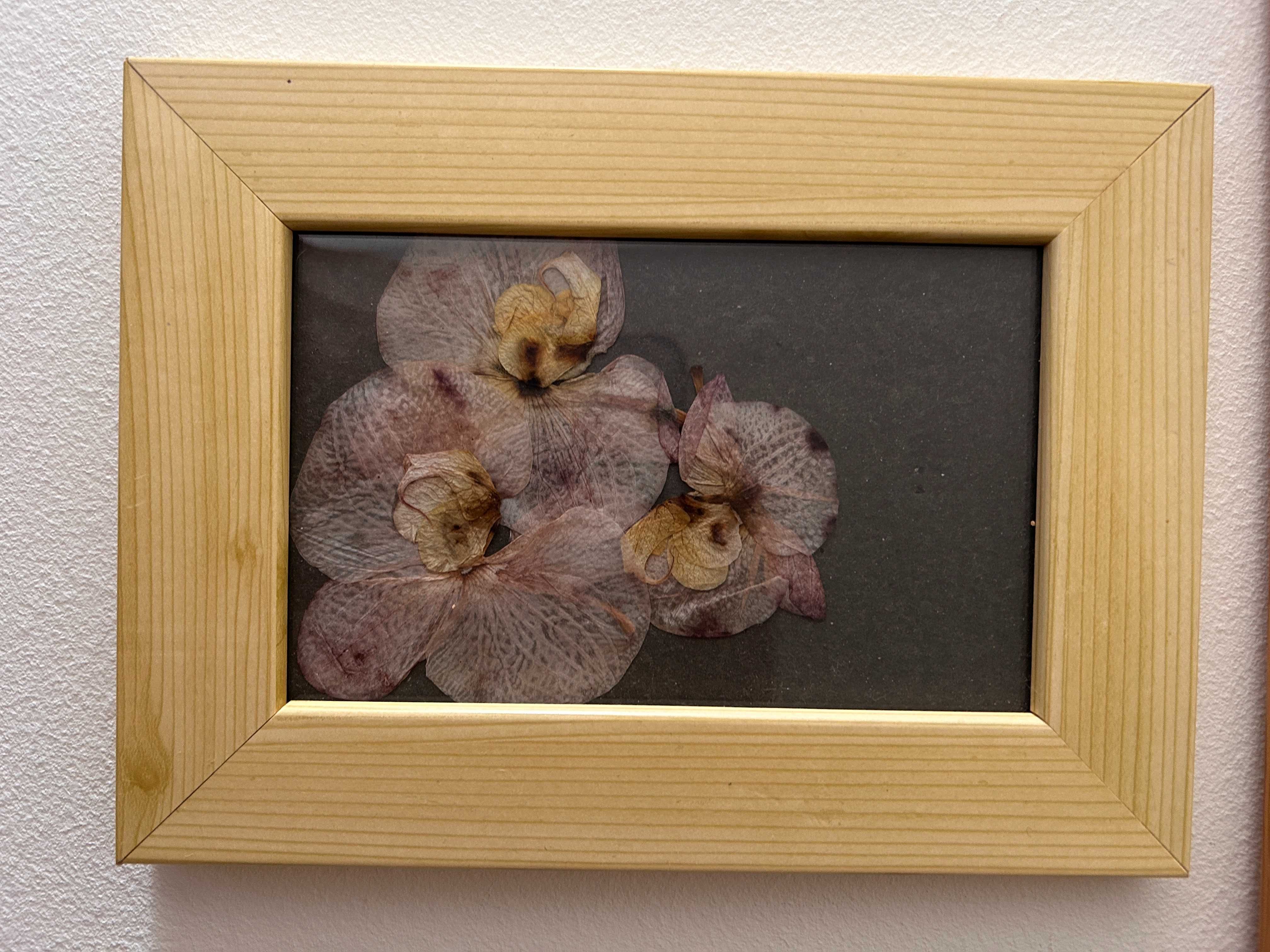 Quadro/ moldura com folhas de orquidea