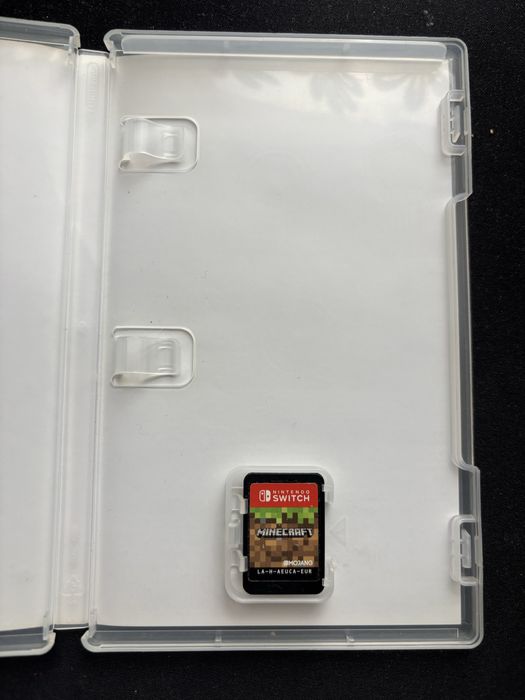 Minecraft nitendo switch