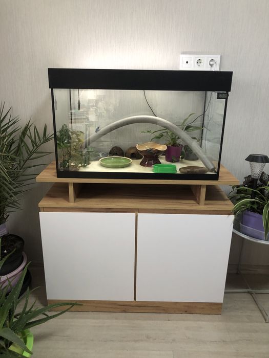 Укомплектованый и оборудованный аквариум террариум с тумбой и питомцам