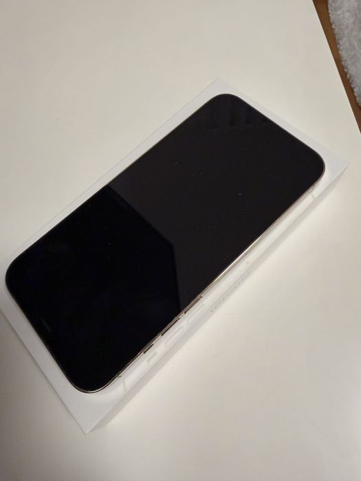 Iphone 12 Pro Max 256Gb