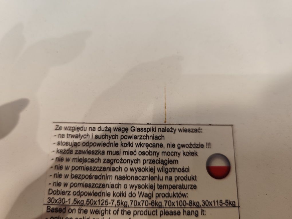 Obraz szklany duży fioletowy liliowy róż 30 x 115
