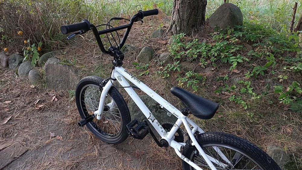 Rower Młodzieżowy Bmx Fishbone P1000 do Skakania Rotor 360 4 Pegi 20