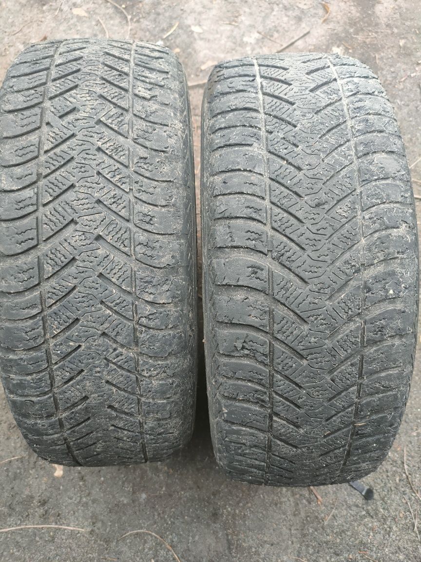 Шины Maxxis All season 205/55 r16