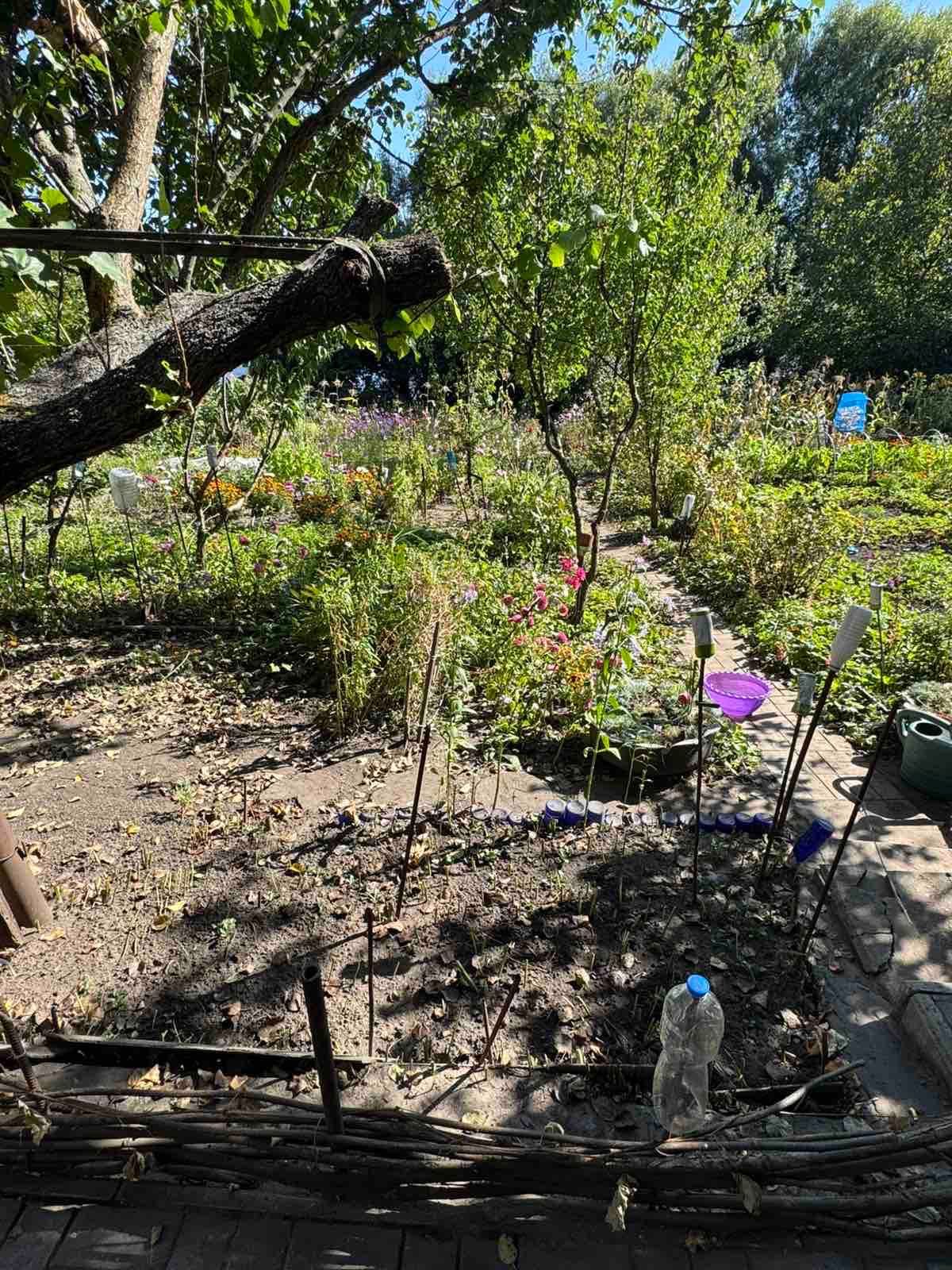 Продам дачу на березі Озера(Солідарне)