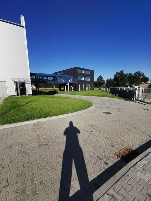 Zakładanie ogrodów, trawników, utrzymanie terenów zielonych