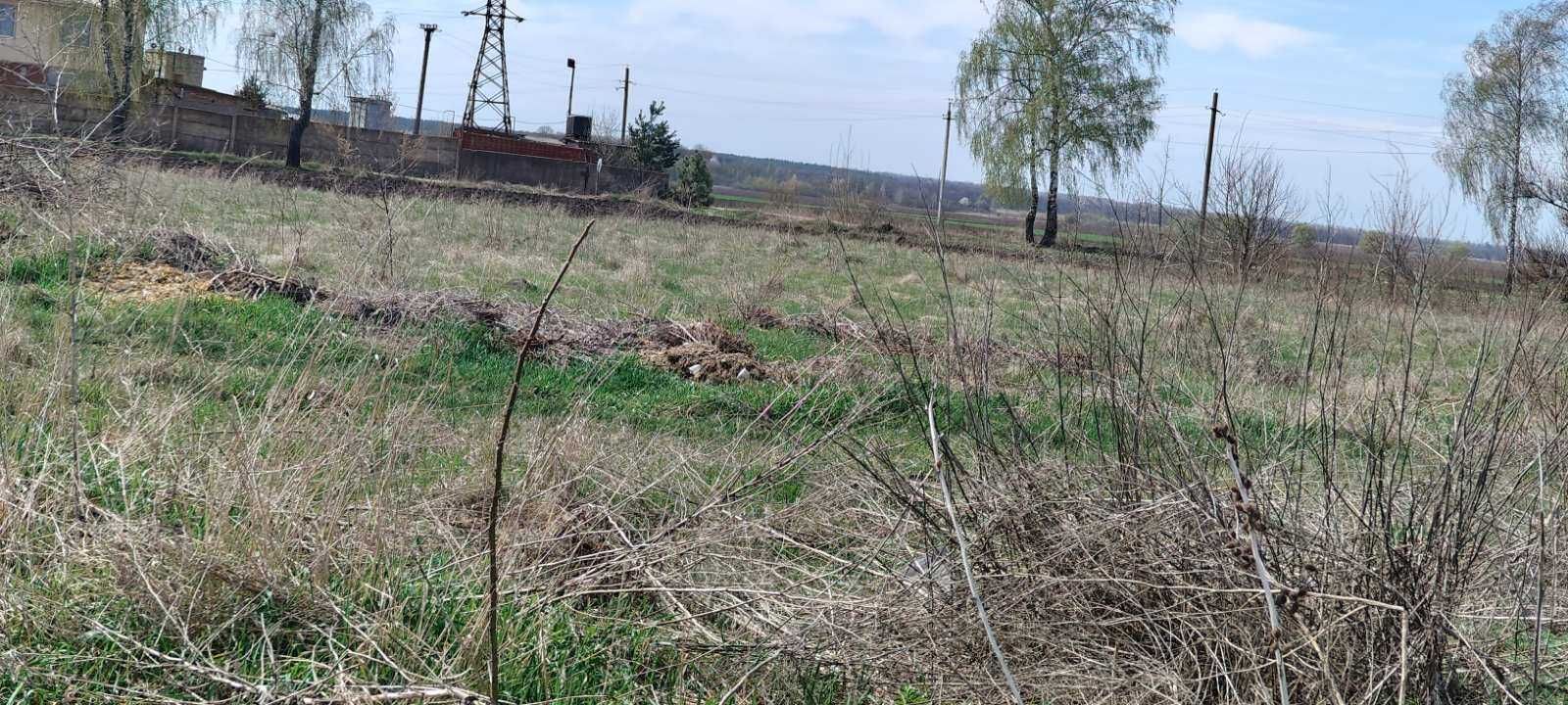 (7) Продам земельну ділянку смт. Турбів 1129