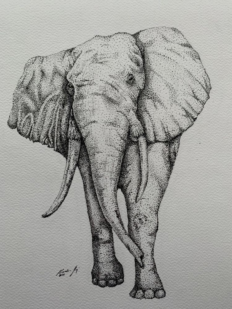 Grafika piórko atrament rękodzieło rysunek 30 x 40