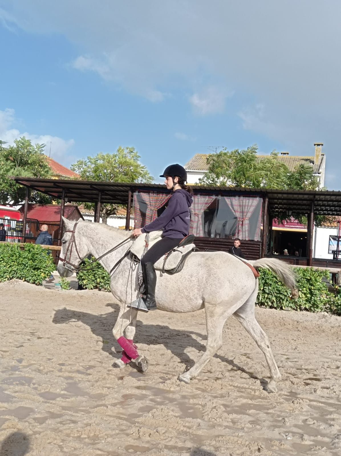 Cavalo eguas poldro