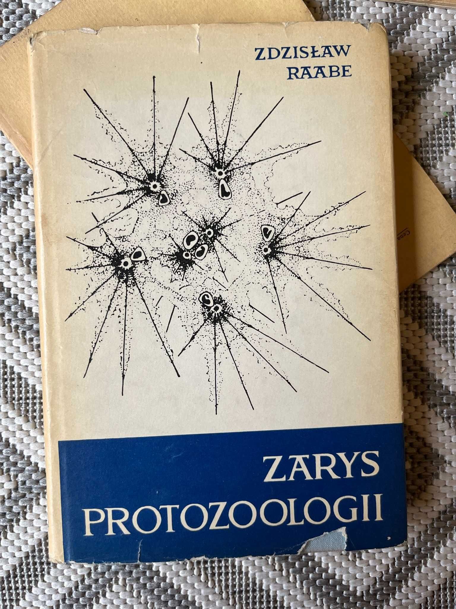 Zdzisław Rabik "Zarys protozoologii" PWN