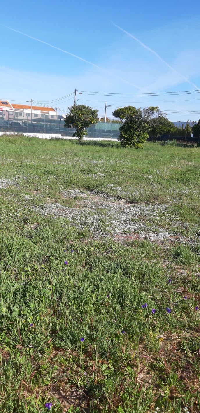 Terreno Urbano 100,000m2
