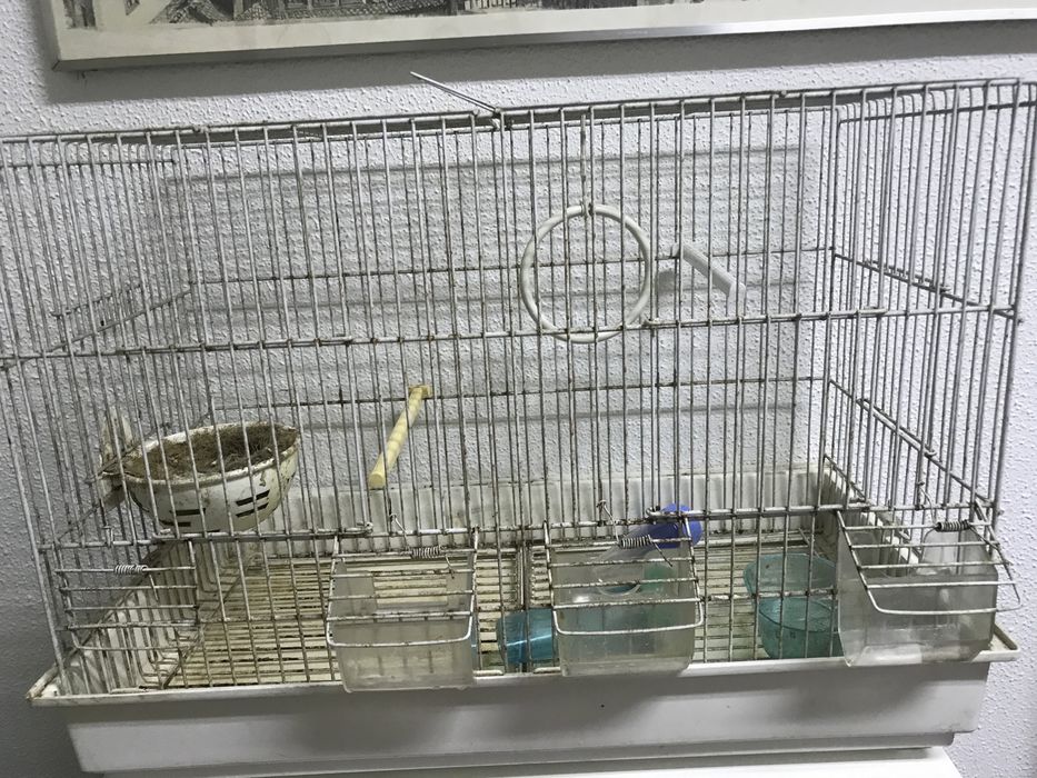 Gaiola Grande. Dê uma casa maior ao seu passarinho