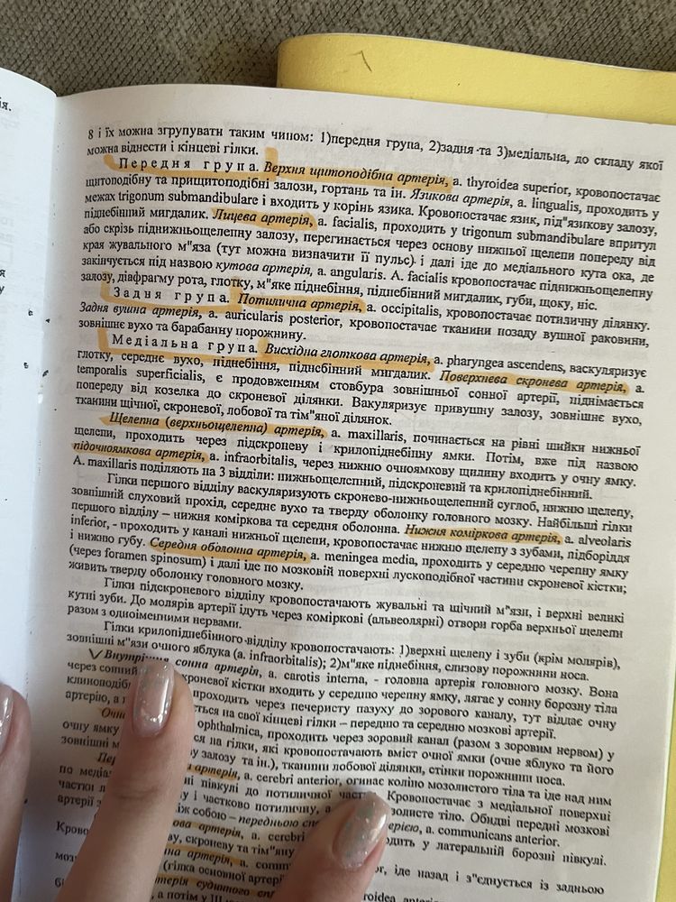 Методичка/ збірник конспектів з анатоміі