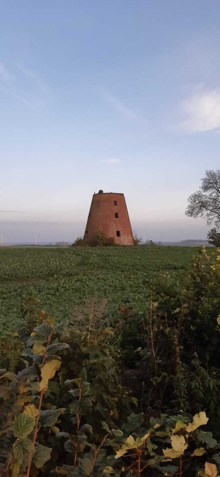 Wynajmę pokoje/piętro domu - Poliksy/Dzierzgoń nad jeziorem