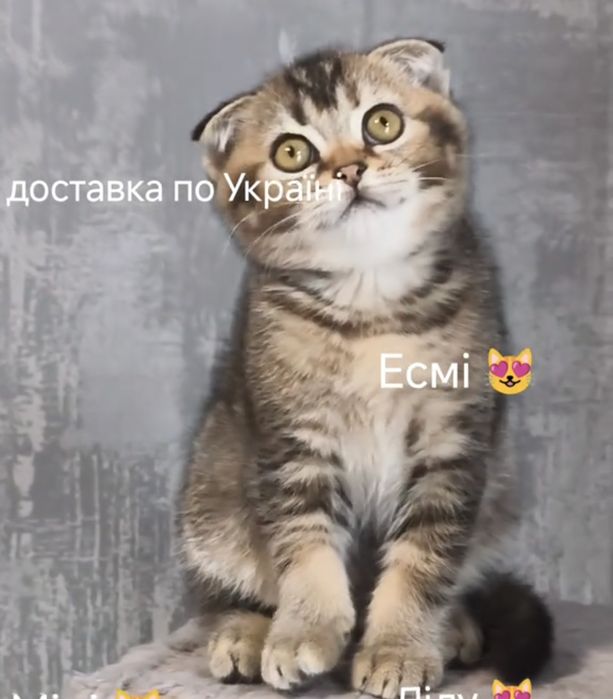 Висловуха дівчинка