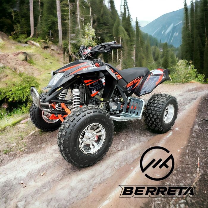 Berreta Egl Mad Max berreta mad max 250 cc
