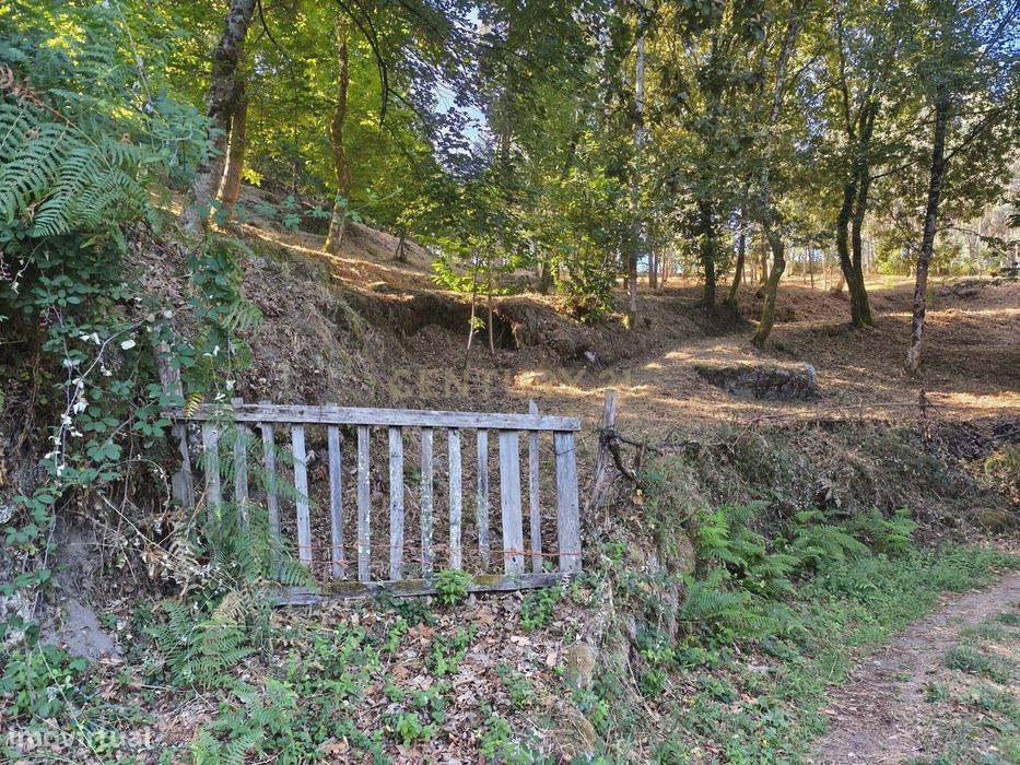 Terreno Rústico com 5.720m² Ventosa, Excelente Acesso e Proximidade ao