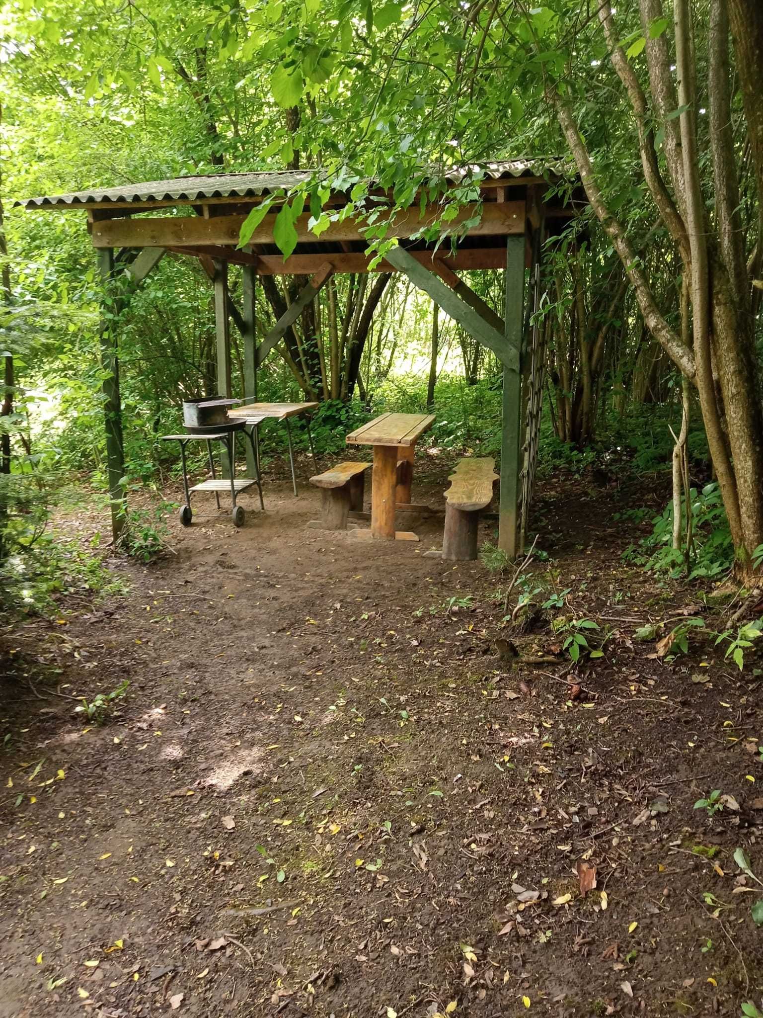 Domki letniskowe nad brzegiem rzeki Hoczewka, Mchawa -  Bieszczady