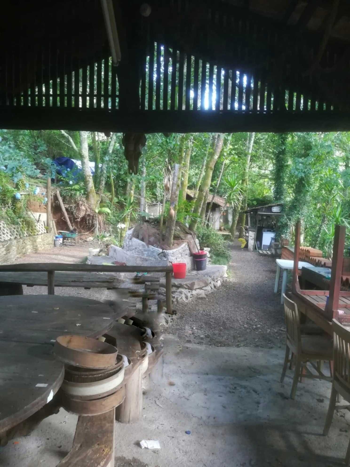 Vende-se quintinha confinante com o rio Caima em Oliveira de Azeméis
