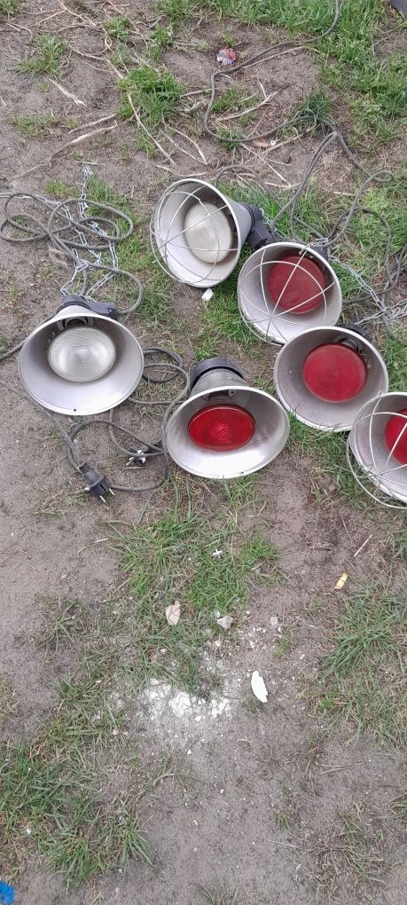 Lampy dla zwierząt promieńik ciepła