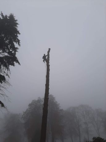 Wycinka drzew pielęgnacja alpinistyczna rębak czyszczenie działek