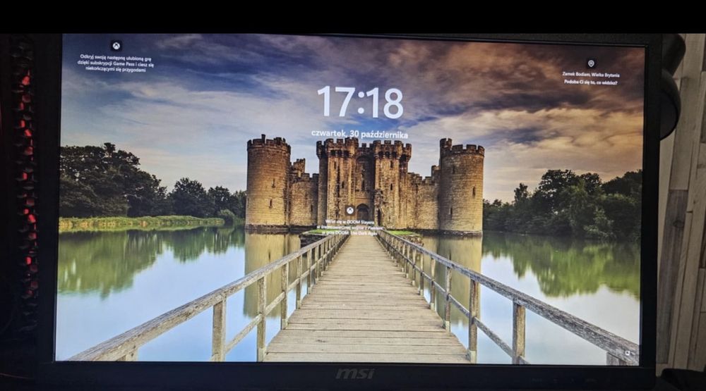 Monitor MSI PRO MP221