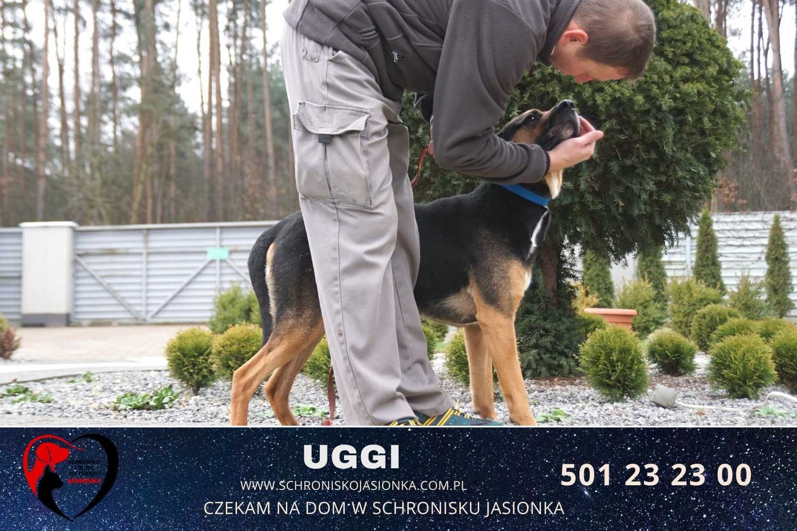 UGGI- do adopcji