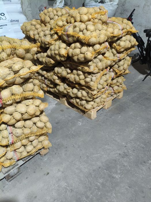 Ziemniaki sprzedam , paszowe , jadalne