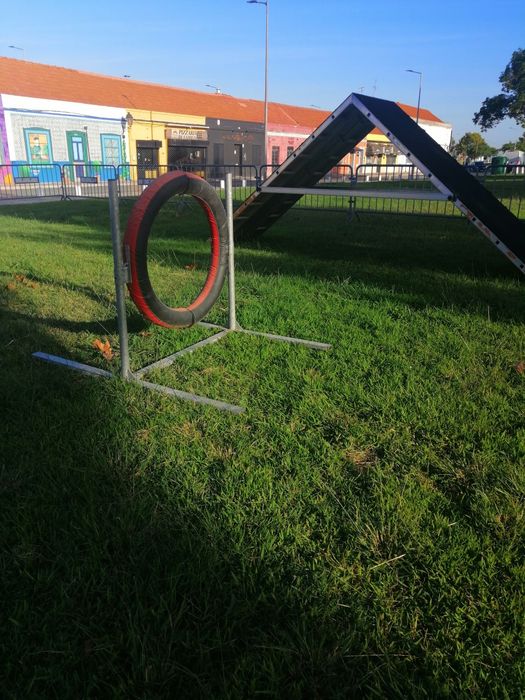 Pista completa de competição de agility