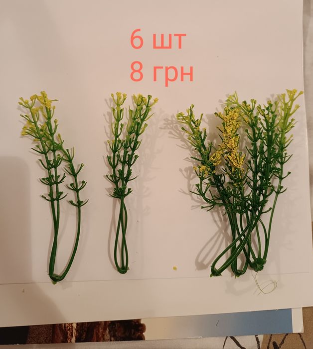 Декоративна зелень