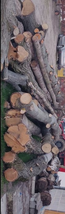 Drewno na deski meble schody akacja wiśnia orzech świerk jesion lipa