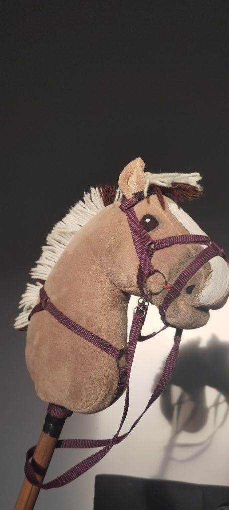 Sprzęt dla hobby horse
