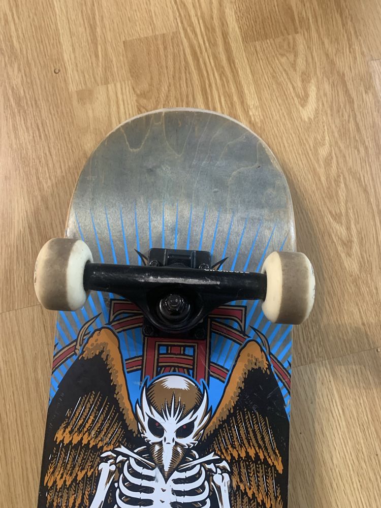 Skate Birdhouse Tony Hawk