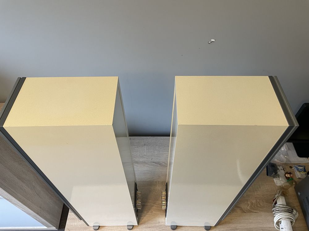 Kolumny podlogowe Dali Ikon 5