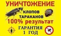 Знищення тарганiв клопiв травить вывести блох клопов тараканов