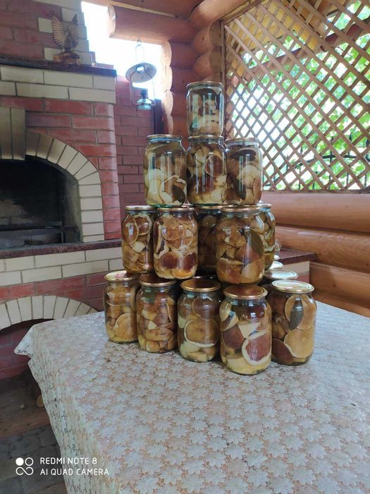 Білі гриби мариновані